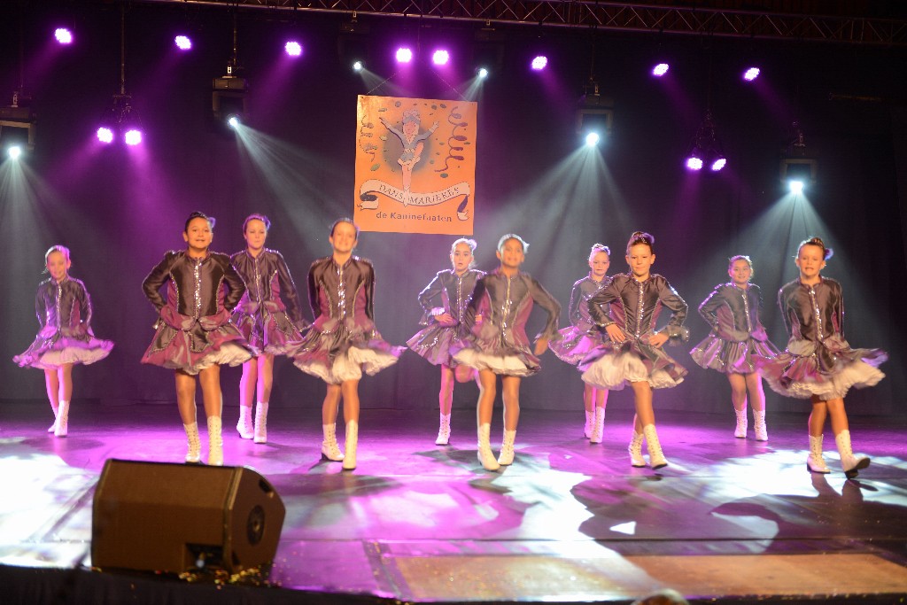 ../Images/Dansmarieke Festival 2016 072.jpg